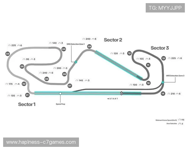F1赛季最新动态揭秘车队策略与赛道表现全解析