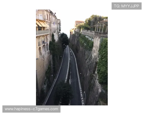 维罗纳俱乐部最新动态解析阵容调整与赛季前景全面观察深度报道展望